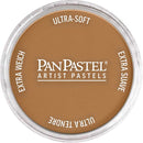 PanPastel 8027103-1 Panpastel Color Powder, Raw Sienna Shade