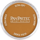 PanPastel 8027105-1 Panpastel Color Powder, Raw Sienna