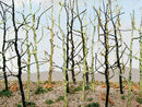 Bachmann HO 32509 Woods Edge Trees, Bare (14-Pack)