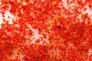 Bachmann SceneScapes 32614 Late Fall Foliage
