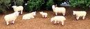 Bachmann HO 33122 Sheep (7)