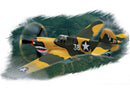 HobbyBoss 80250 P-40E Kitty Hawk