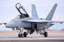 HobbyBoss 85813 F/A-18F Super Hornet