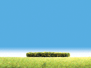 Faller HO 181399 Hedges, Flowering Yellow 4 x 3/8 x 3/8" 10 x 1 x 1cm