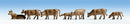 Noch N 36722 Cows, Brown (9)