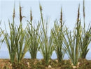 JTT Scenery Products HO 95633 Cattails Dried 3/4" (24)