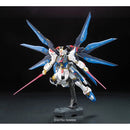 Mobile Suit Gundam Seed Destiny Strike Freedom Gundam Real Grade 1:144 Scale Model Kit 2211988