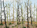 Bachmann Trains HO 32509 Woods Edge Trees, Bare (14)