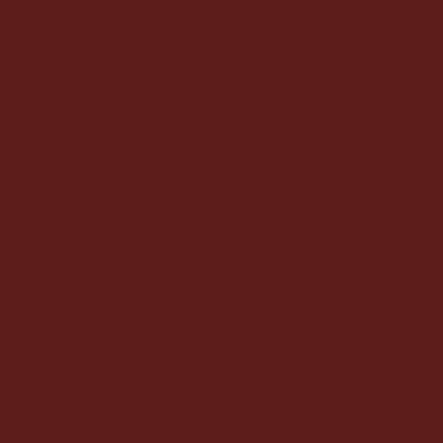 Tru-Color Paint 252 Railroad Color Acrylic Paints, Virginian 1937-1960s Freight Car Brown (1oz)