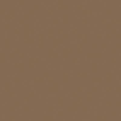 Tru-Color Paint 824 Flat Brushable Color Acrylic Paints, Earth (1oz)