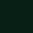 Tru-Color Paint 145 Railroad Color Acrylic Paints, Northern Pacific 1947 Passenger Dark Green (Pine Tree/Butterknife Schemes) (1oz)