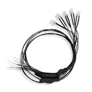 Evan Designs U31 LED Lights 3mm Universal 7-19 Volt AC, DC, DCC (5), Cool White