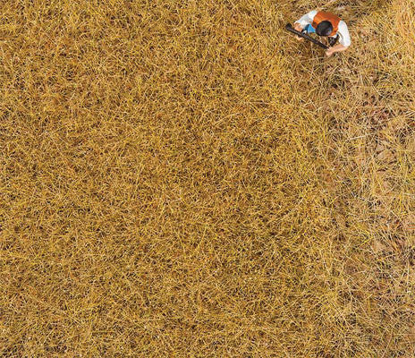 Faller 170775 Ground Cover/Flocking Premium Hay 1oz