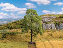 Faller 181701 Lime Tree