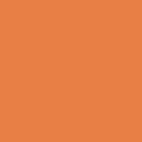 Tru-Color Paint 45 Railroad Color Acrylic Paints, 1oz 29.6mL, Denver & Rio Grande Western Aspen Gold