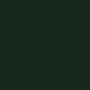 Tru-Color Paint 62 Railroad Color Acrylic Paints, 1oz 29.6mL, Burlington Northern & Santa Fe Green