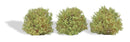 PREORDER Busch HO 3606 Bushes, Spring 3/