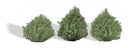 PREORDER Busch HO 3607 Bushes, Summer 3/