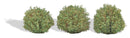 PREORDER Busch HO 3608 Bushes, Late Summer 3/