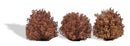 PREORDER Busch HO 3609 Bushes, Autoumn 3/