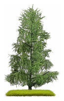 PREORDER Busch 3806 Spruce Tree 140 mm