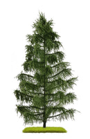 PREORDER Busch 3807 Spruce Tree 210 mm