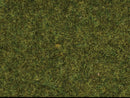 Noch 7117 Static Wild Grass, 1.8oz 50g; 3/8" .9cm fibers, Meadow