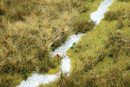 Busch HO 1313 Thinning Grass Pad, Grass Meadow with Stream 11-11/16 x 8-1/4"