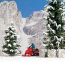 Busch HO 7818 Snowmobile with Figure, Red