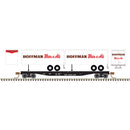Atlas 50006507 50' Piggyback Flatcar w/Two 24' Trailers - Ready to Run -- Central Railroad of New Jersey