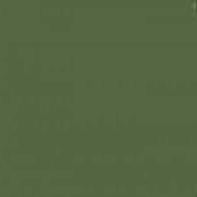 Mission Model 029 RUSSIAN DARK OLIVE2 34096