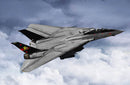 Trumpeter 03918 F-14B Tomcat 1:144