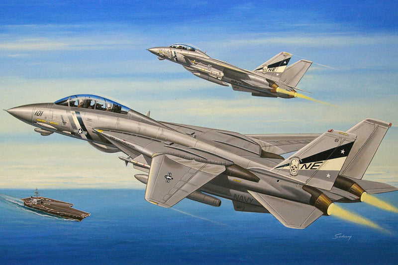 Hobby Boss 1/72 F-14D Super Tomcat