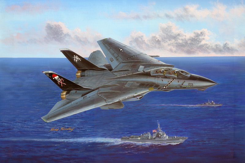 Hobby Boss 1/48 F-14B Tomcat