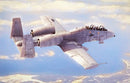 Hobby Boss 1/48 N/AW A-10A Thunderbolt II