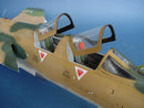 Trumpeter 02202 Republic F-105G Wild Weasel 1:32