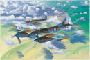 Trumpeter 02894 De Havilland Hornet F.3 1:48
