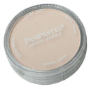 PanPastel 8027408-1 Panpastel Color Powder, Burnt Sienna Tint