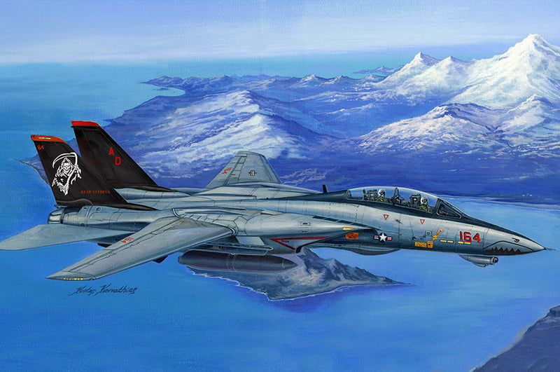 HobbyBoss 80368 F-14D Super Tomcat 1:48