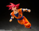 Bandai 2503080 SUPER SAIYAN GOD SON GOKU