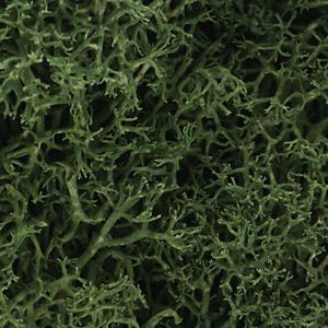 Woodland Scenics 163 Lichen/Medium Green