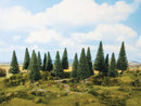 Noch 24642 Fir Trees, 5-1/2 to 7-1/16" 14 to 18cm Tall (6)