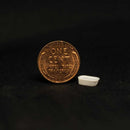 All Scale Miniatures N 1900927.5 Bath Tub (5)