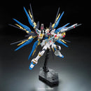 Mobile Suit Gundam Seed Destiny Strike Freedom Gundam Real Grade 1:144 Scale Model Kit 2211988