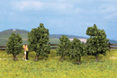 Noch 25420 Bushes In Bloom (5), 1-3/16 to 1-9/16" 3 to 4cm
