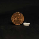 All Scale Miniatures 1600927 Bath Tub (5)