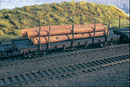 Bachmann Trains HO 18849 ACF Log Car with Logs, Silver Series, 1935-1960 Version (Boxcar Red)