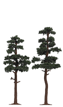 Busch HO 6142 Pine Trees, 5-3/4 & 6-5/16" 14.5 & 16cm (2)