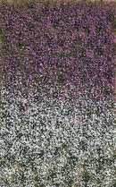 Busch 3548 Grass Tuft Sheet Late Summer Blossom Tufts