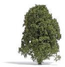 Busch 3589 Filigree Bush Late Summer Green